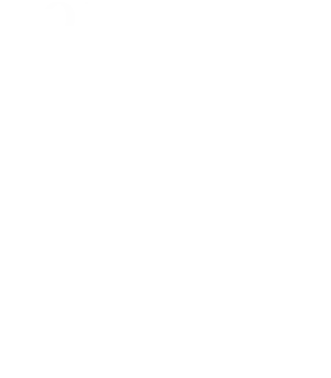 Nirvana Codename LR Dhanori Logo Image